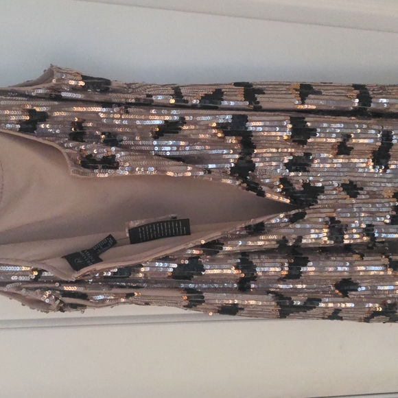 BRAND NEW WITH TAGS Adrianna Papell Beaded Mesh Dress - Picture 5 of 12